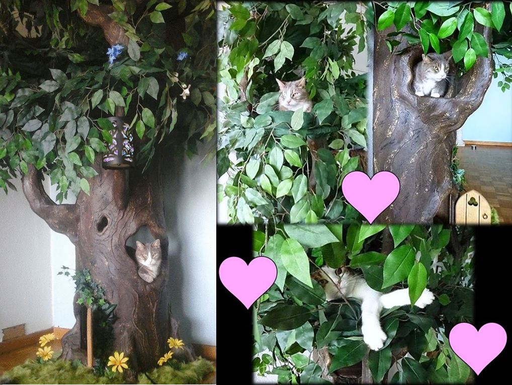 Custom Cat Trees