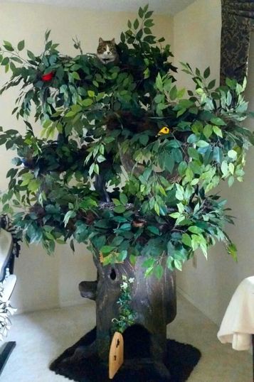 Decorative Cat Trees