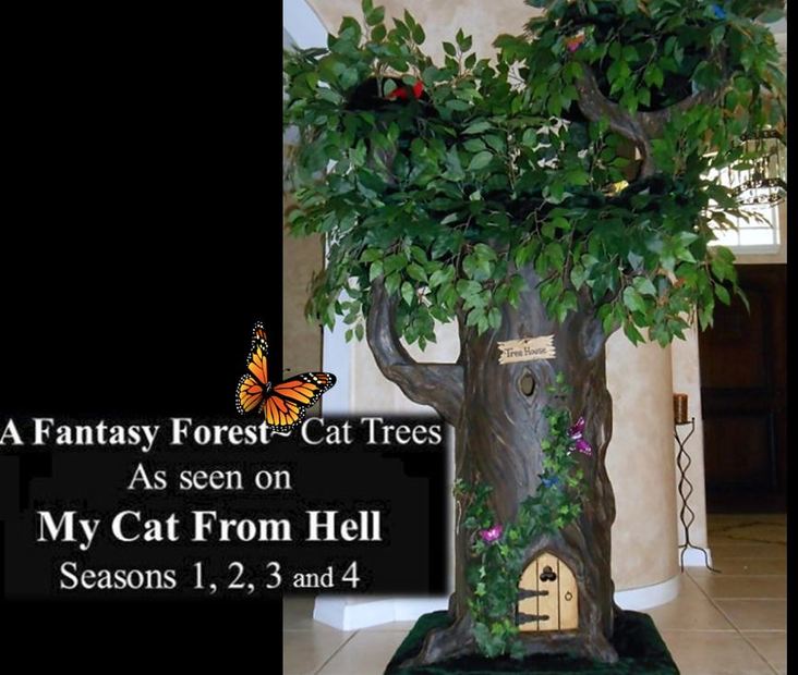 Cat Trees seen on My Cat From Hell