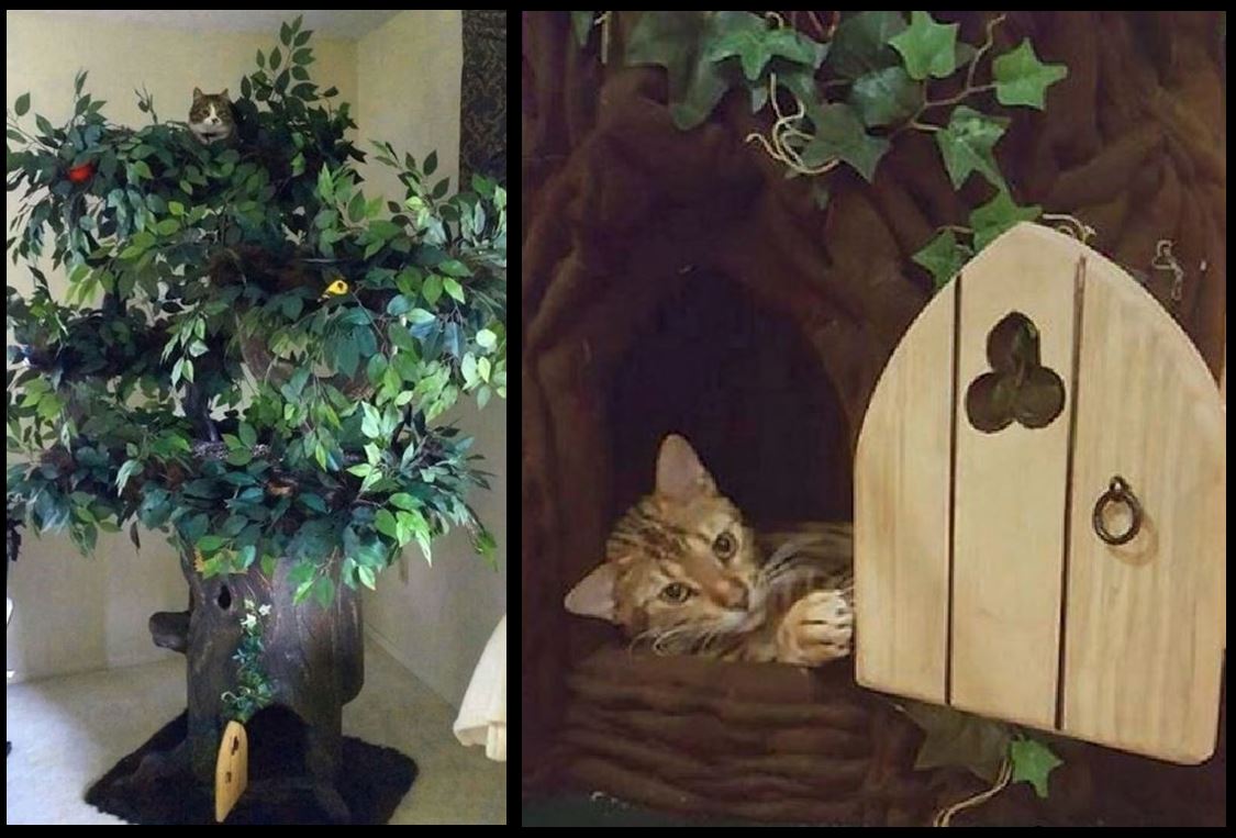 Designer Cat Furniture