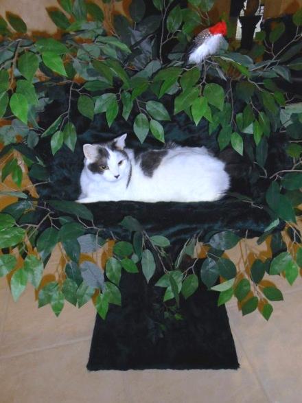 Woodland Dreams Cat Tree