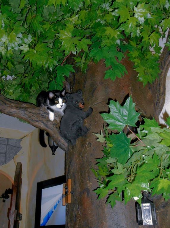 Large Wood Cat Tree