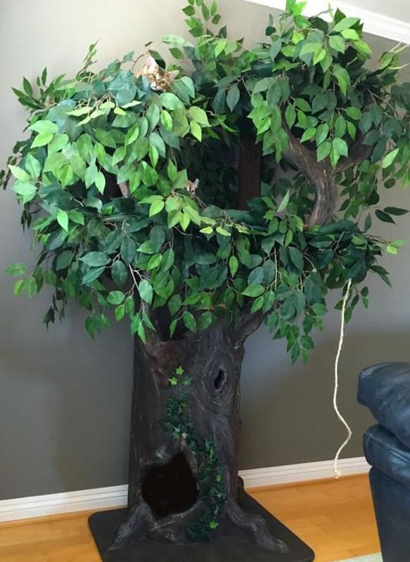 Amazing Cat Trees